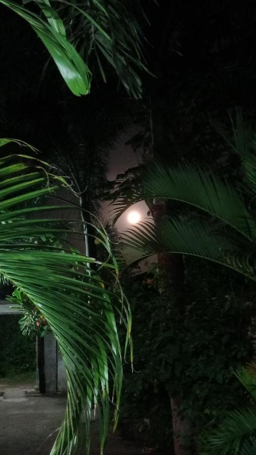 Ani Bungalows กีลีตราวางัน ภายนอก รูปภาพ